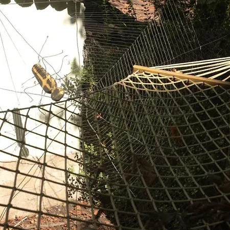 Belle House * 소피아