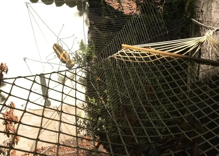 Belle House * Sófia